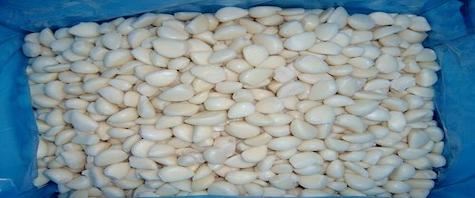 روش نگهداری سیر
